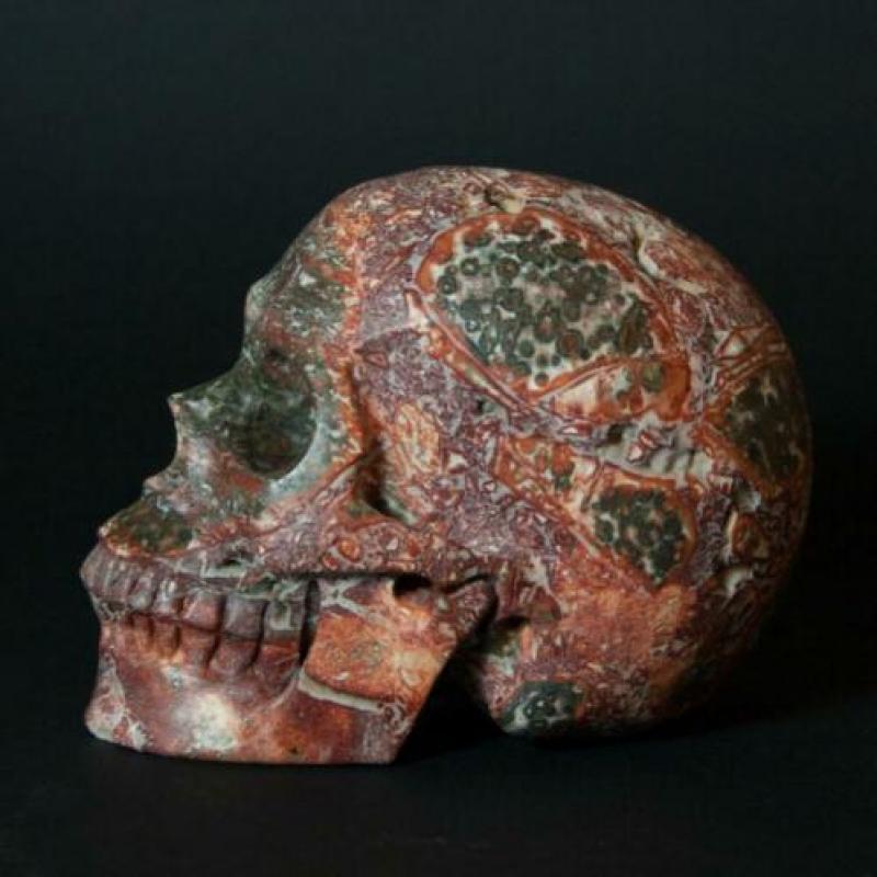 Leopard Skin Jasper kristallen schedel – crystal skull