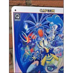 DARKSTALKERS Capcom Metalen wandbord poster retro arcade