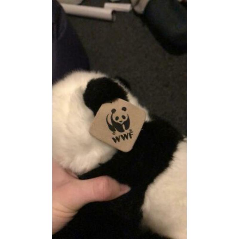 Pandabeer van WWF