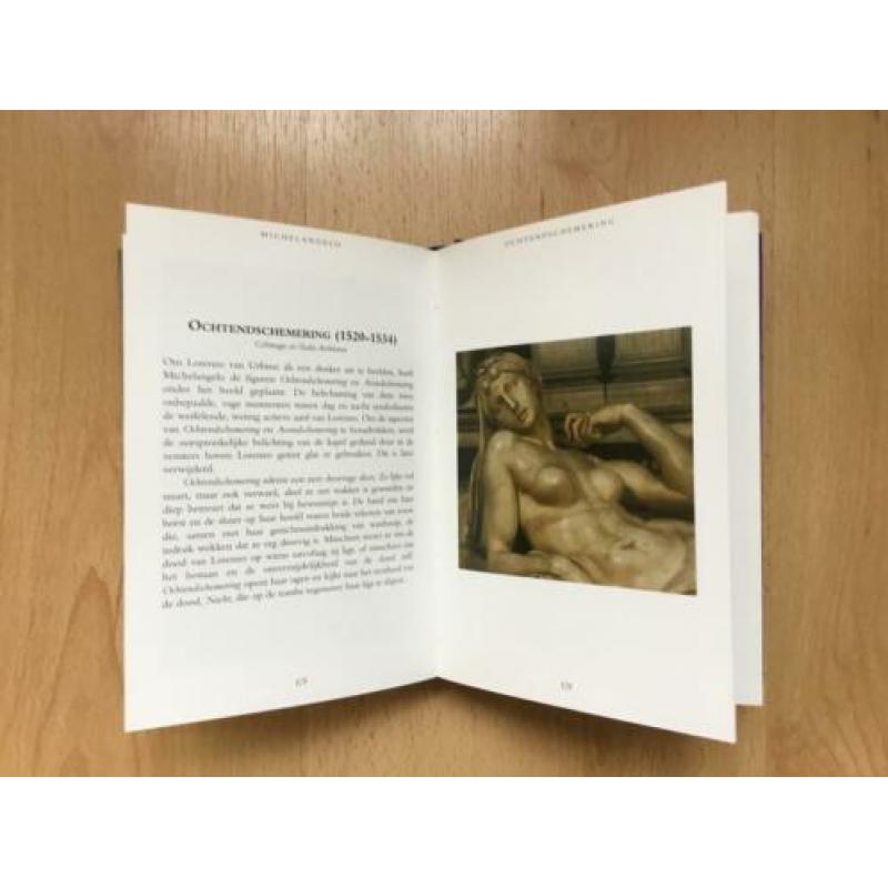 Mooi kunstboek van de kunstenaar Michelangelo