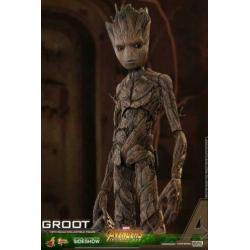 Marvel: Avengers Infinity War - Groot Hot Toys 1/6 !!!