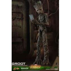 Marvel: Avengers Infinity War - Groot Hot Toys 1/6 !!!