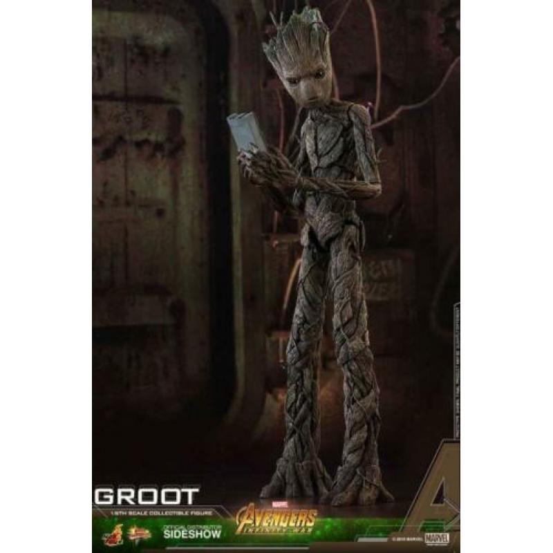 Marvel: Avengers Infinity War - Groot Hot Toys 1/6 !!!