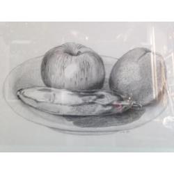 Potloodstudie Stilleven Fruit Professionele Lijst 43 x 50