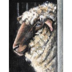 Olieverf Schilderij schaap