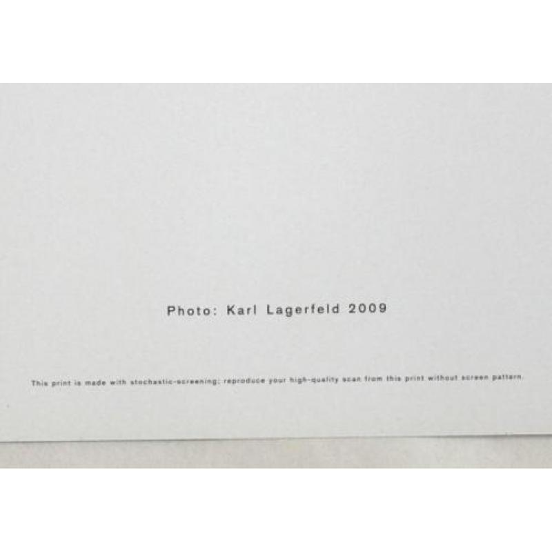 Karl Lagerfeld - Modefoto - stochastic fotolitho, 2009