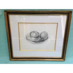 Potloodstudie Stilleven Fruit Professionele Lijst 43 x 50